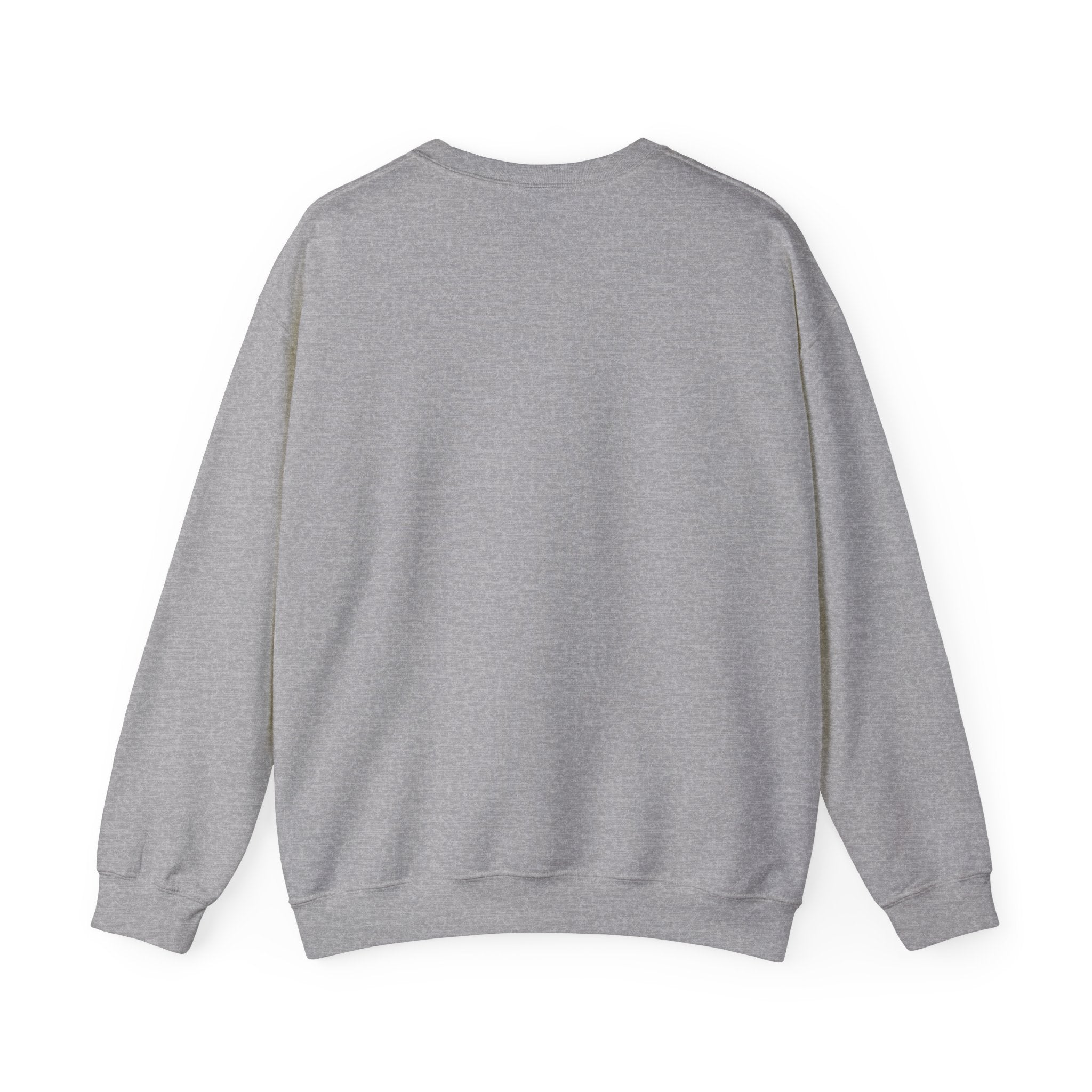 Behavioral Conditioning Sweatshirt — Psychology Diagram Crewneck