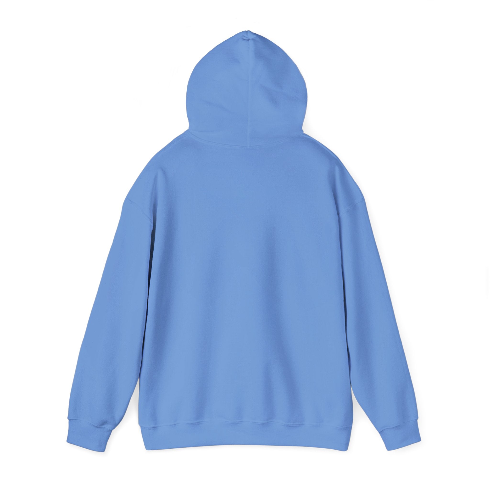 Surviving Nursing School Pullover
