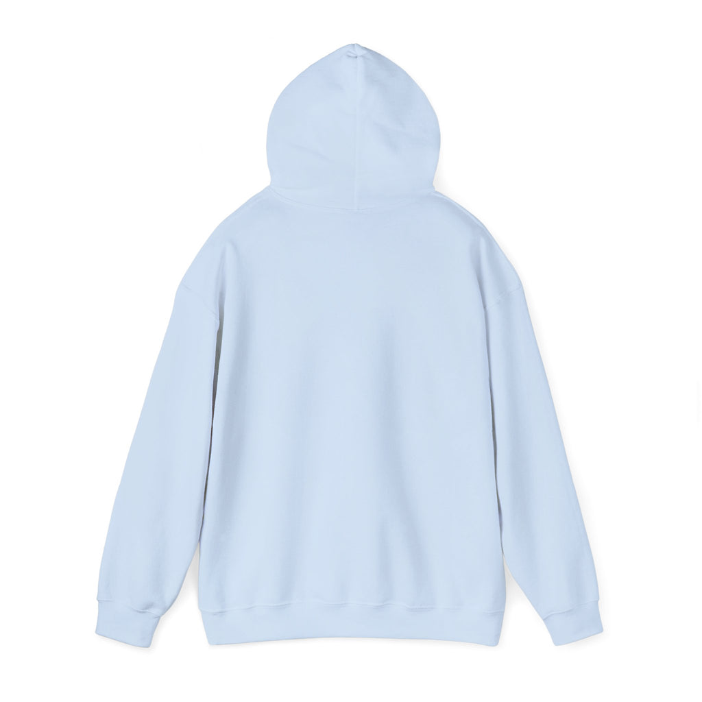Hoodie — Behavioral Conditioning Diagram Graphic Pullover