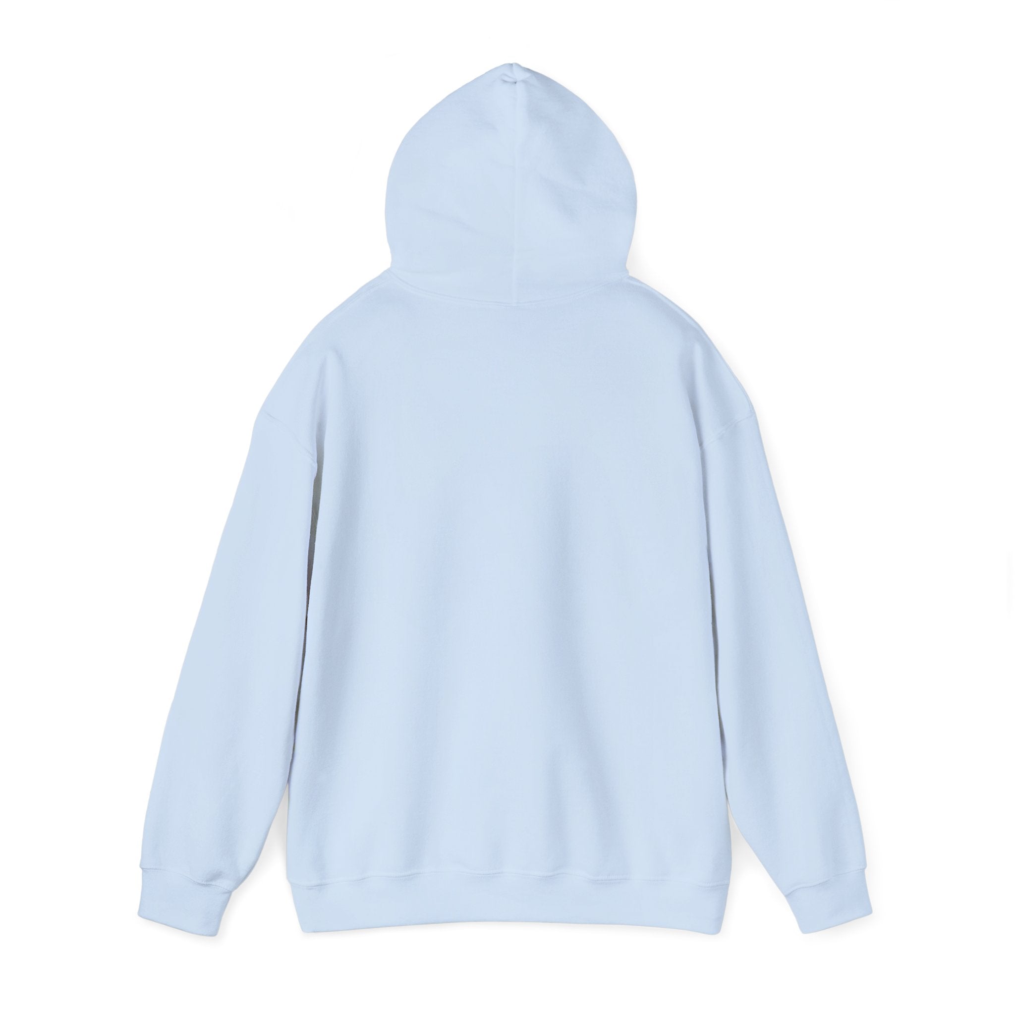 Hoodie — Behavioral Conditioning Diagram Graphic Pullover