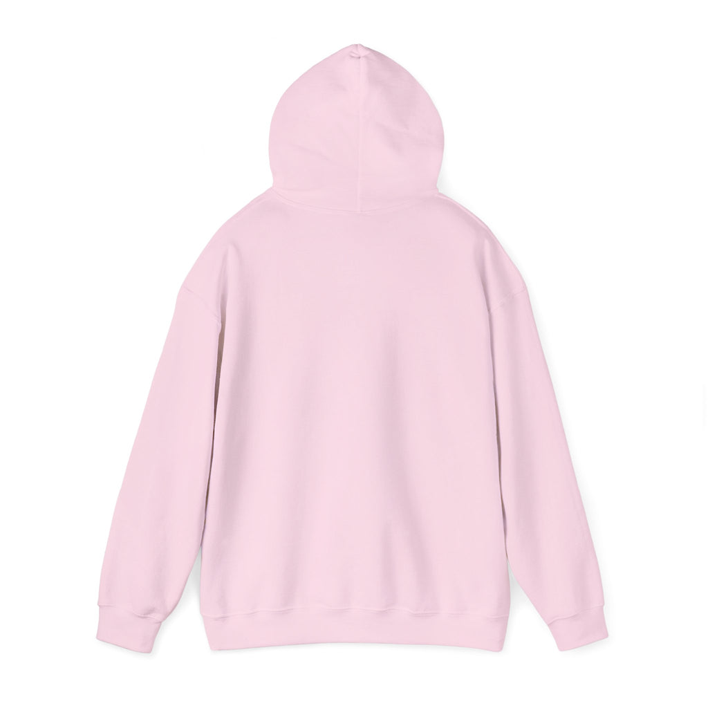 Hoodie — Behavioral Conditioning Diagram Graphic Pullover