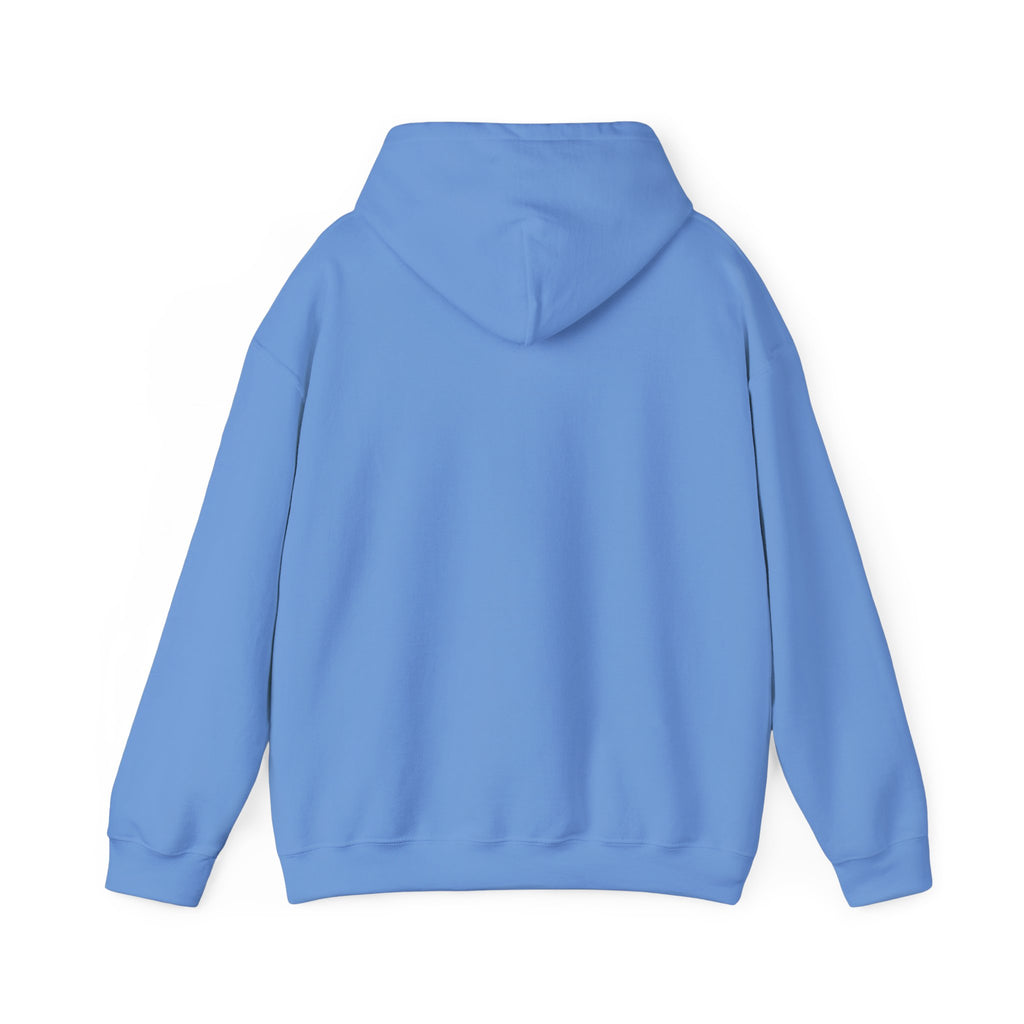 Surviving Nursing School Pullover