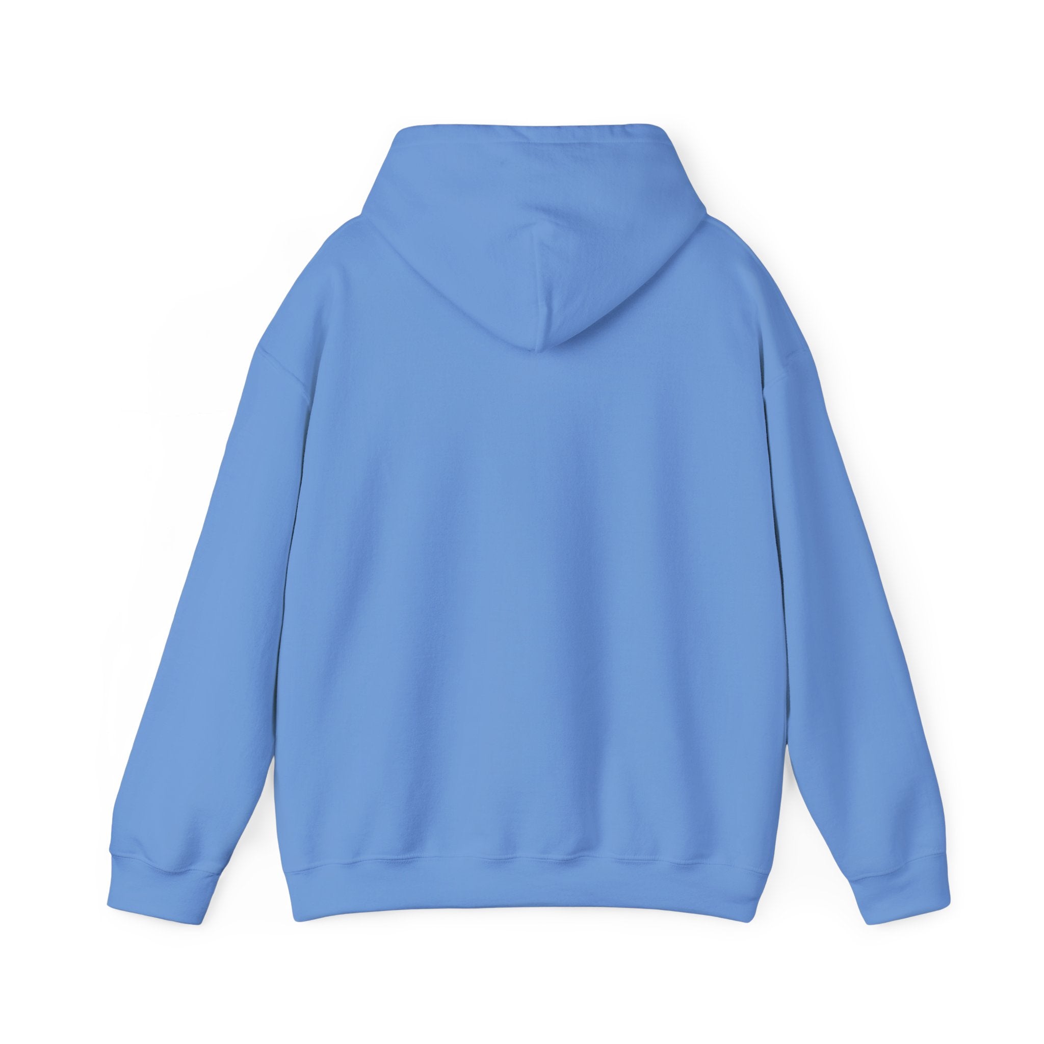 Surviving Nursing School Pullover