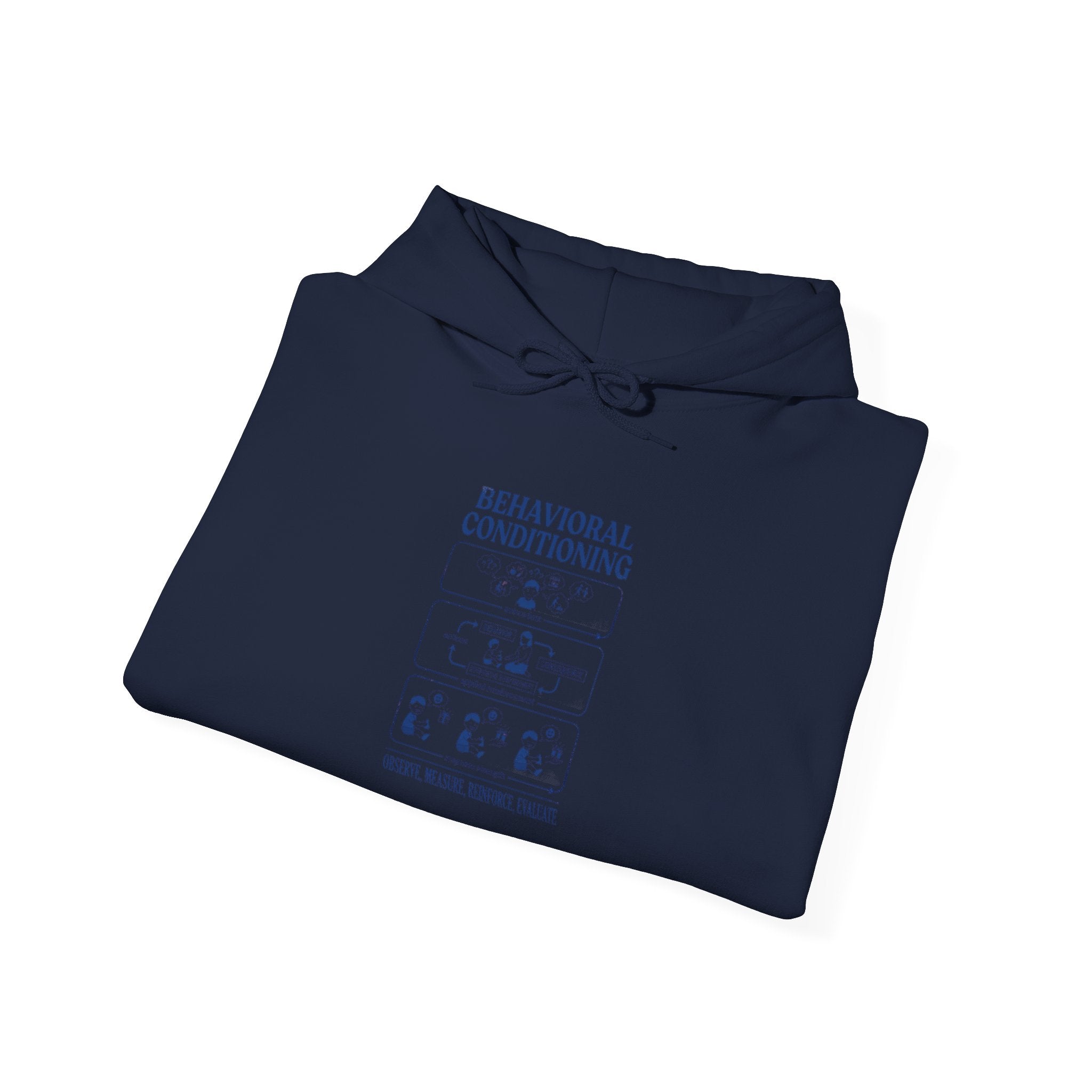 Hoodie — Behavioral Conditioning Diagram Graphic Pullover