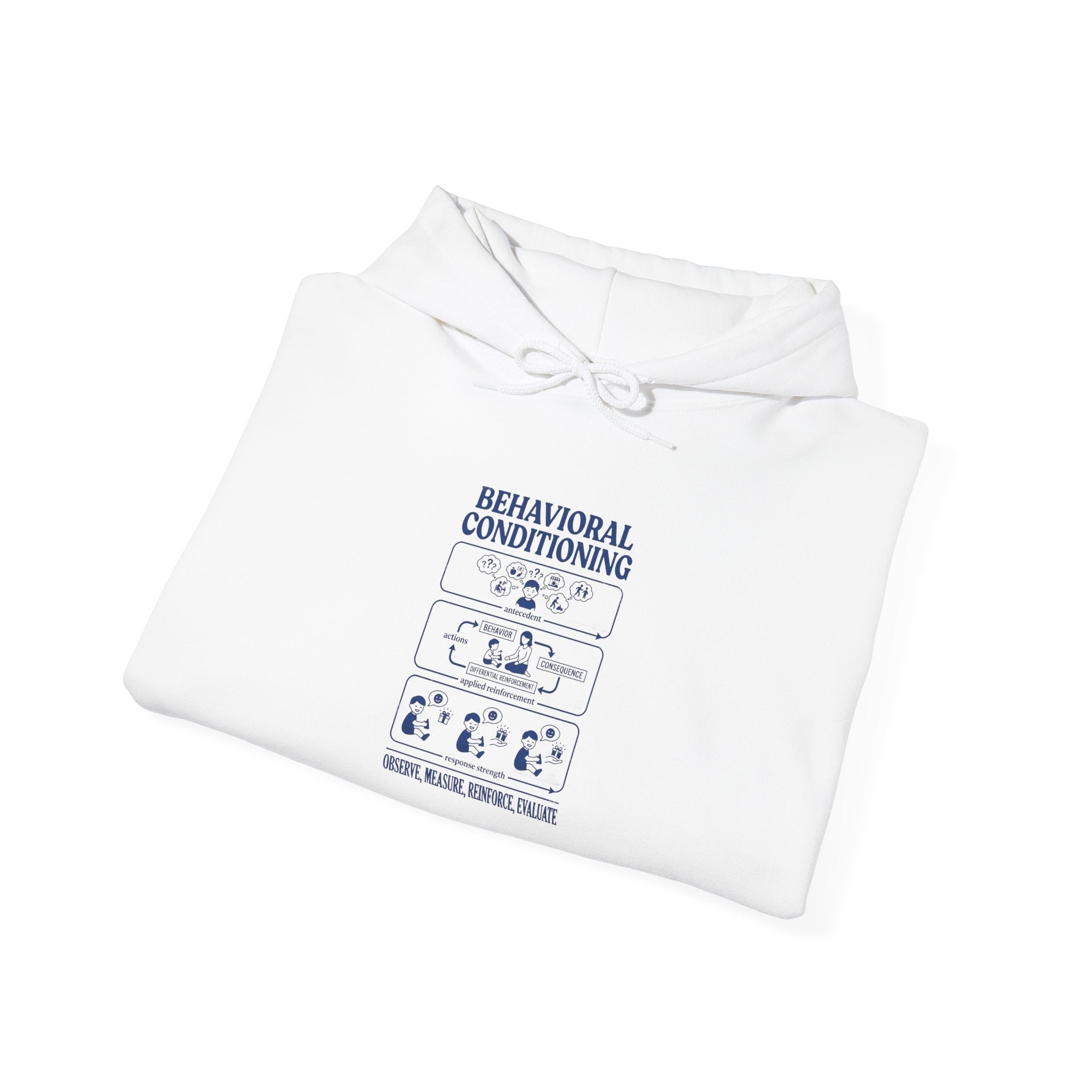 Hoodie — Behavioral Conditioning Diagram Graphic Pullover