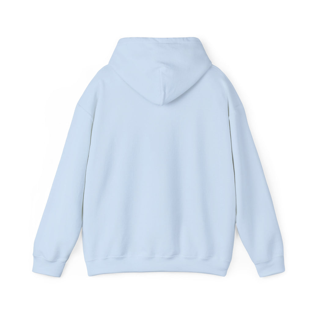 Hoodie — Behavioral Conditioning Diagram Graphic Pullover