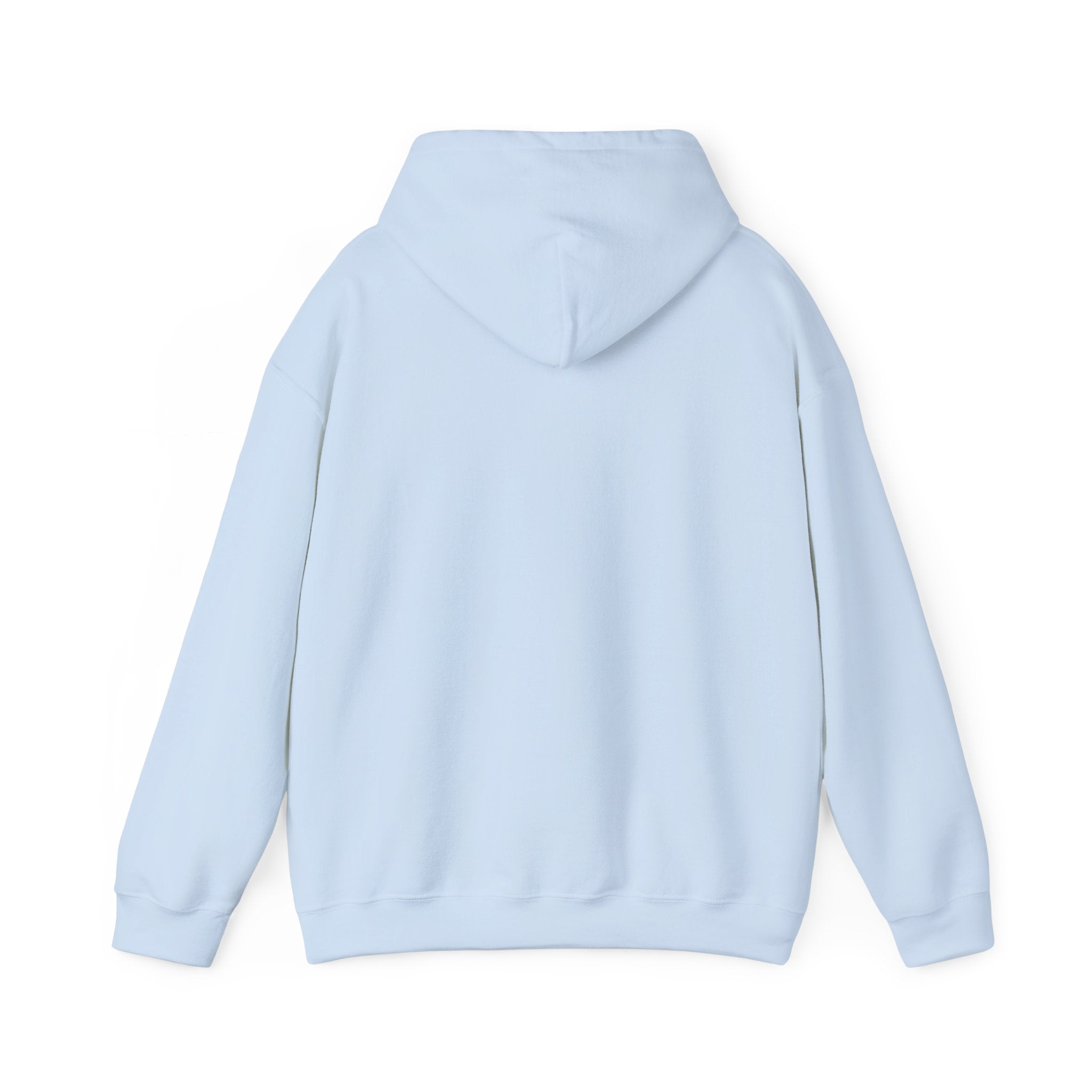 Hoodie — Behavioral Conditioning Diagram Graphic Pullover