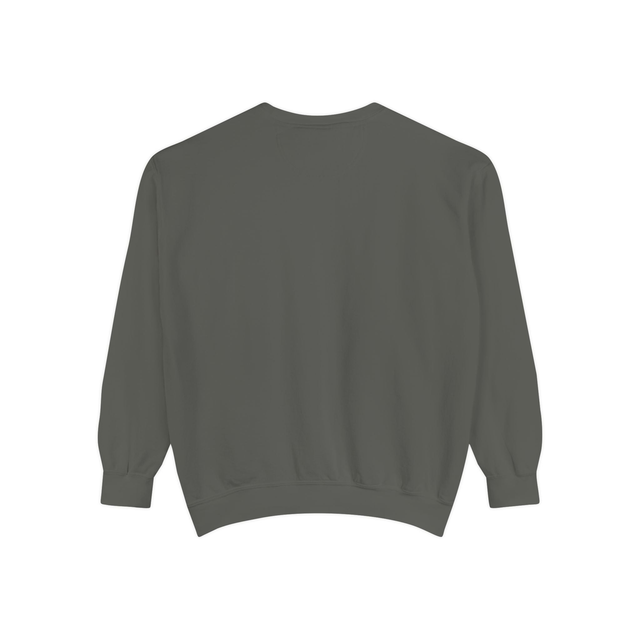 "try intelligence" crew neck sweatshirt