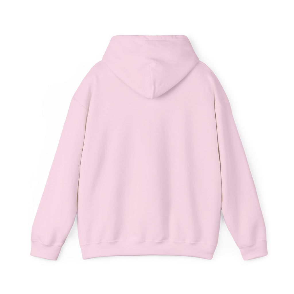 Hoodie — Behavioral Conditioning Diagram Graphic Pullover